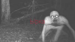 Поиск Ырки!!!!!!