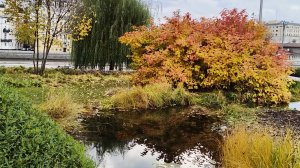 "Осень в самом сердце Москвы: парк "Зарядье" в объективе"