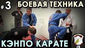 Боевая механика Кэнпо-Карате: техника синего пояса – 3.