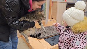 Отказница, ставшая центром Вселенной! | Венера