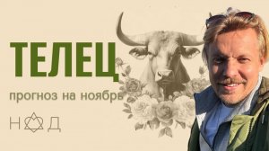 Прогноз на Ноябрь | Телец
