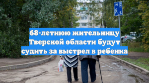 68-летнюю жительницу Тверской области будут судить за выстрел в ребенка