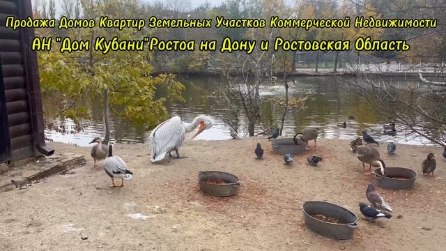 ЗООПАРК РОСТОВ НА ДОНУ 2025 , АН "Дом Кубани" РОСТОВ И РОСТОВСКАЯ ОБЛАСТЬ 89186922458
