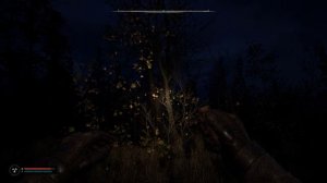 S.T.A.L.K.E.R. 2 -Аномальная активность №23