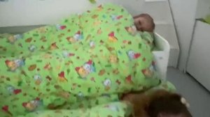 🛏29 октября — День подушки!