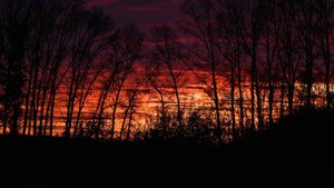 Народные приметы на 29 октября: что можно и нельзя делать