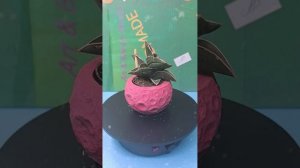 Кашпо из гипса ручная работа.