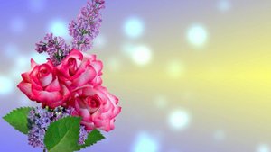 Футаж. Цветочный фон 241