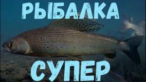 Шикарная рыбалка в Сибири!!! Отличный клёв!! Тайга! Река!