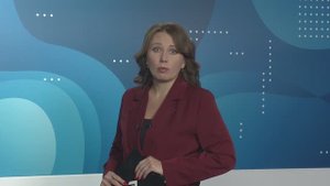 Новости Владимира и Владимирской области 29 октября 2025 года. Дневной выпуск