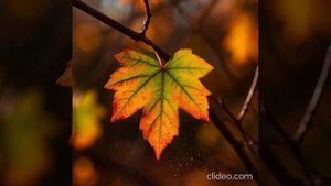 Последний лист.О.Генри