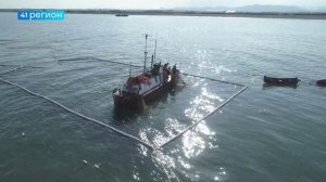 РОССИЙСКИЕ РЫБАКИ ПОЙМАЛИ 4 МИЛЛИОНА ТОНН ВОДНЫХ БИОРЕСУРСОВ • НОВОСТИ КАМЧАТКИ