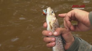 Дикая река. Часть 5