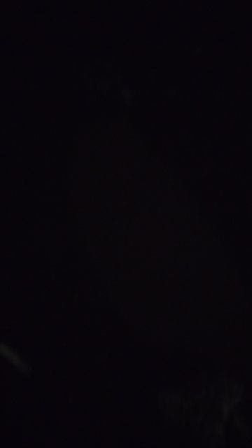 №277. Двор Г. Звезда 73 - Красноармейская 52. 15 марта 2025 г., 21:26:50. VID_20250315_212436566