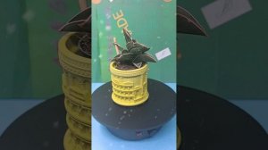 Кашпо из гипса ручная работа.