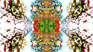 Футажи! Футаж Осенняя волшебная сказка 18! Осеннее волшебство!