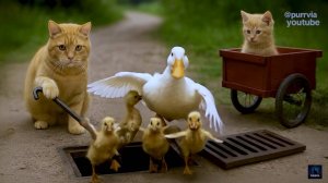 Котики ии утятки