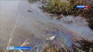 Жители поселка Демьяново Подосиновского района сообщил в социальных сетях  о загрязнении реки Юг