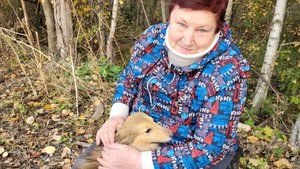 LIVE*PITER: Собачки из приюта порадовали душу!