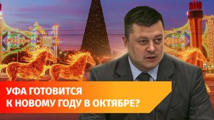 Лошади, собаки и парковки. О чем говорили на оперативке в мэрии Уфы?