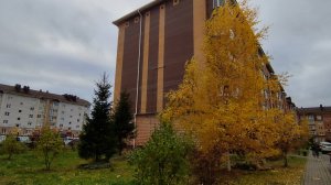 Запоздалая реакция/Все сильно затянулось/Кухня не отпускает