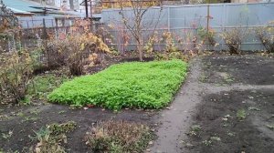 Π Π½Π°Ρ Π΄ΠΎΠΌ Π²ΡΠ΅Π·Π°Π»Π°ΡΡ Π΄ΠΈΠΊΠ°Ρ ΠΏΡΠΈΡΠ°. ΠΠ³ΠΎΡΠΎΠ΄Π½ΡΠ΅ Π·Π°ΡΠΈΡΠΎΠ²ΠΊΠΈ.