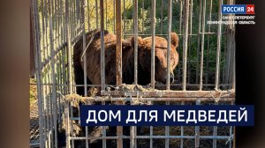 ВЕСТИ 24 Санкт-Петербург от 29.10.2025