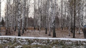 Зима пришла в Тайшет