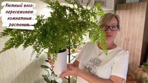 Уютный влог: пересаживаю комнатные растения.