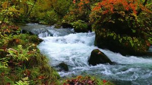 Синематик House — трёхчасовой сборник инструментальной музыки для релакса