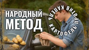 Автолайфхак: избавляемся от капель на зеркалах