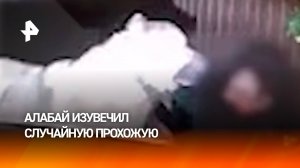 Сбежавший от хозяйки алабай покромсал лицо и руки случайной прохожей в Ростове-на-Дону