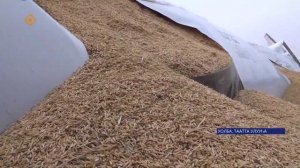 Эр дьон күргүөм үлэҕэ