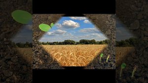 Румяной зарей полыхнул восток