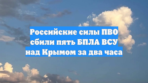 Российские силы ПВО сбили пять БПЛА ВСУ над Крымом за два часа
