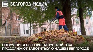 Сотрудники Белгорблагоустройства продолжают заботиться о нашем Белгороде