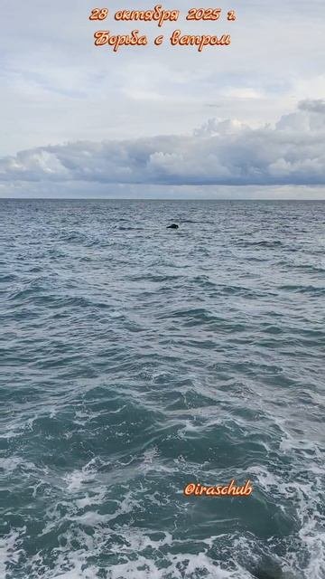 28 октября 2025 г. Море шумит, ветер играет, а человек-идет наперекор стихии #ялта #ялта2025 #море