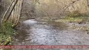 28.10.2025 Сахалинские блоги. SAKHALIN DIGGER CLUB. Проехал вглубь острова Сахалин, чтобы найти ЭТО