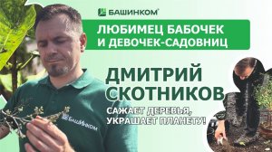 Деревья, высаженные с биопрепаратами, прекрасно приживаются. Смотри!