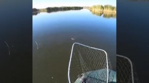 Видео от За Трофеем: Охота и Рыбалка