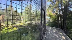 Влад никак не может смириться что Лида не берет еду при Елисее и хитростью пытается ей дать орешки)