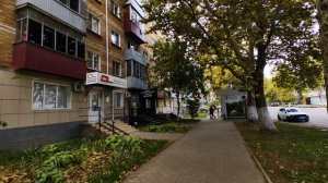 petal_20250929_001240.mp4