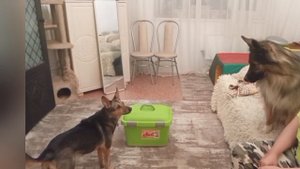 маркер нет для прерывания нежелательного действия