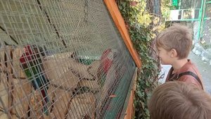 Ара говорит с Лешей