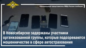 В Новосибирске задержаны участники организованной группы, которые подозреваются в мошенничестве