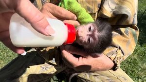 Анфиса как раньше Люся просто бежит по дорожкам за Владом как хвостик)))