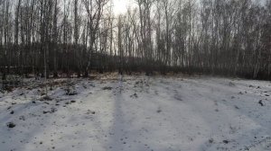 Стельмаково деревня в Марьяновском районе Омской области/Stelmakovo is a village in the Omsk region