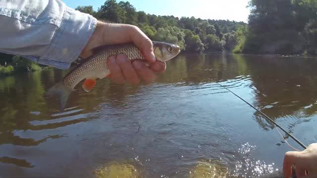 Нахлыст с плотика 4 | Река Москва | 29 июня 2024