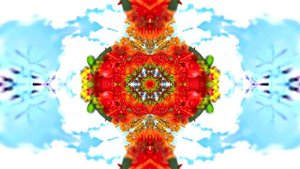 Футажи! Футаж Осенняя волшебная сказка 16! Осеннее волшебство!