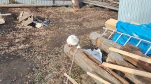 Изменения 29.10.25 год